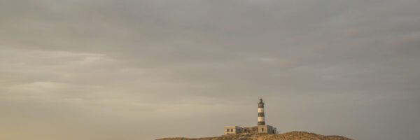 "ile de tunisie", "croisiere tunisie"