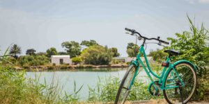 "velo tunisie", "location velo tunisie"