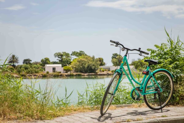 "velo tunisie", "location velo tunisie"