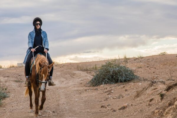 "balade cheval sidi thabet", "cheval tunisie", "equitation tunisie"