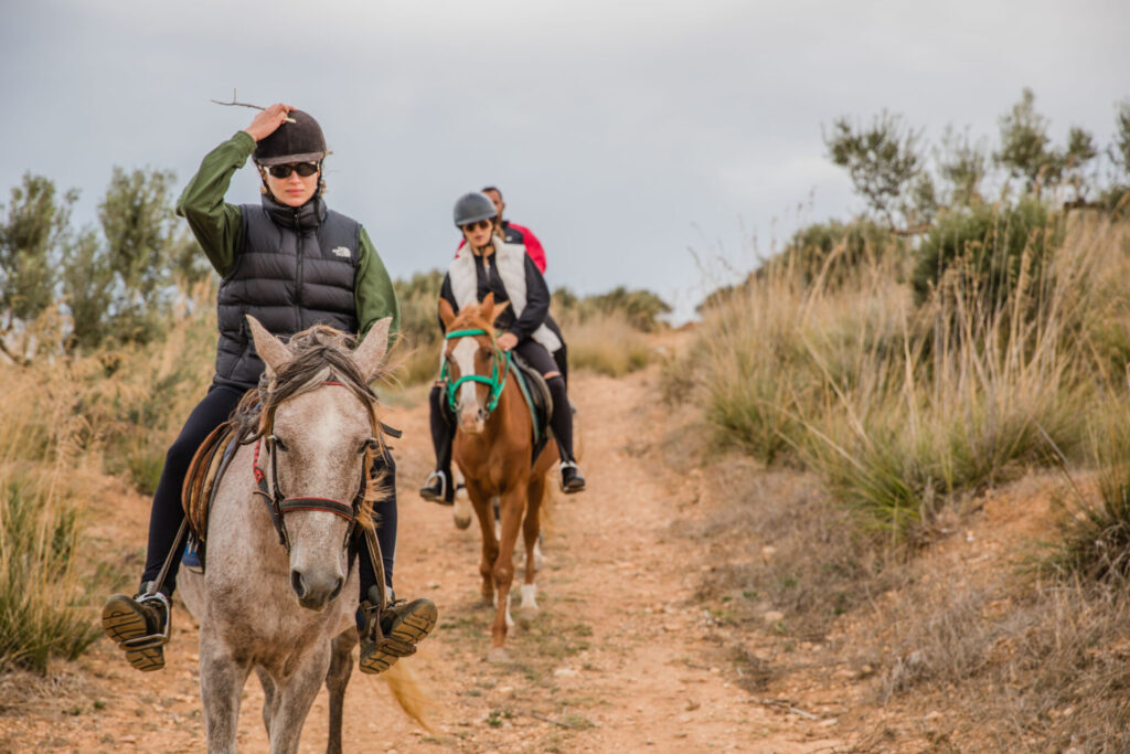 "balade cheval sidi thabet", "cheval tunisie", "equitation tunisie"
