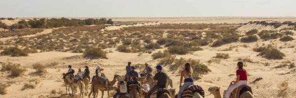 Soft trekking désert Tunisie