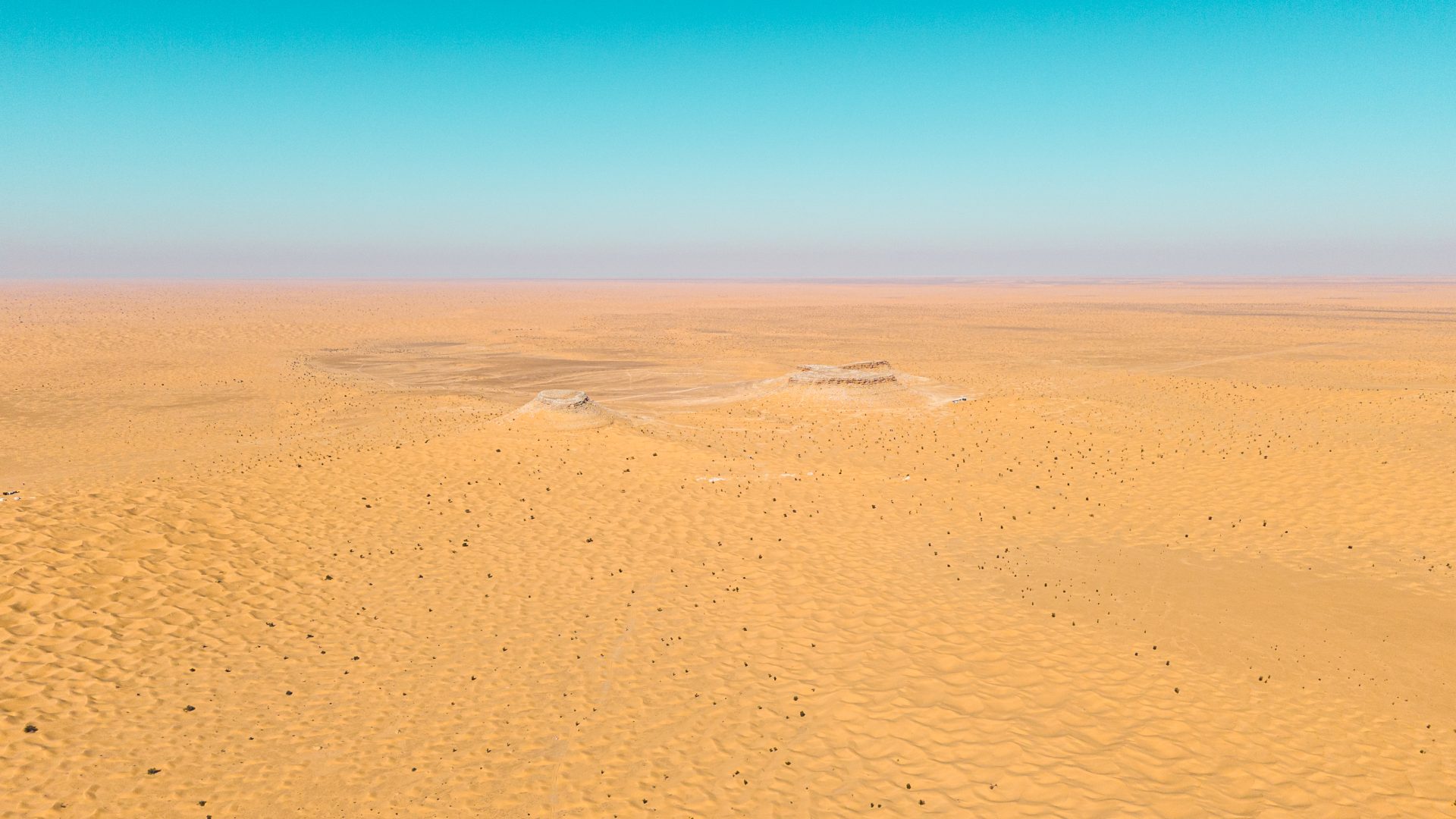 DJI_20240201113944_0644_D