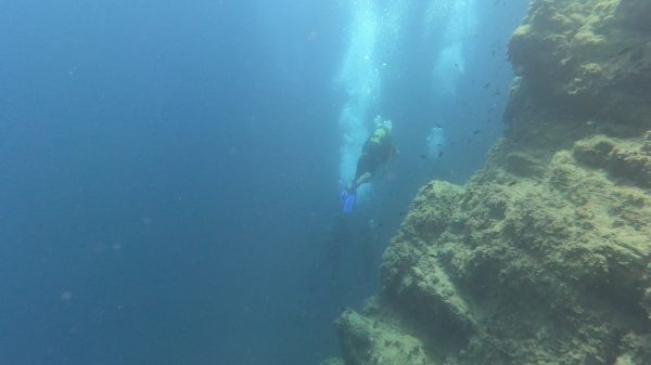 Plongée en Tunisie : quelle saison choisir pour une première fois